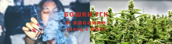 гидра Дмитриев