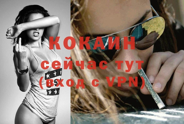 молекула духа Дмитровск