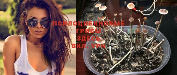 молекула духа Дмитровск
