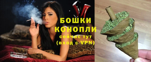 молекула духа Дмитровск