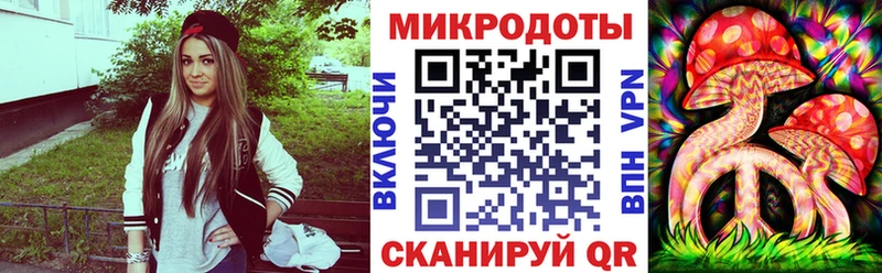 Галлюциногенные грибы Psilocybine cubensis  Себеж 